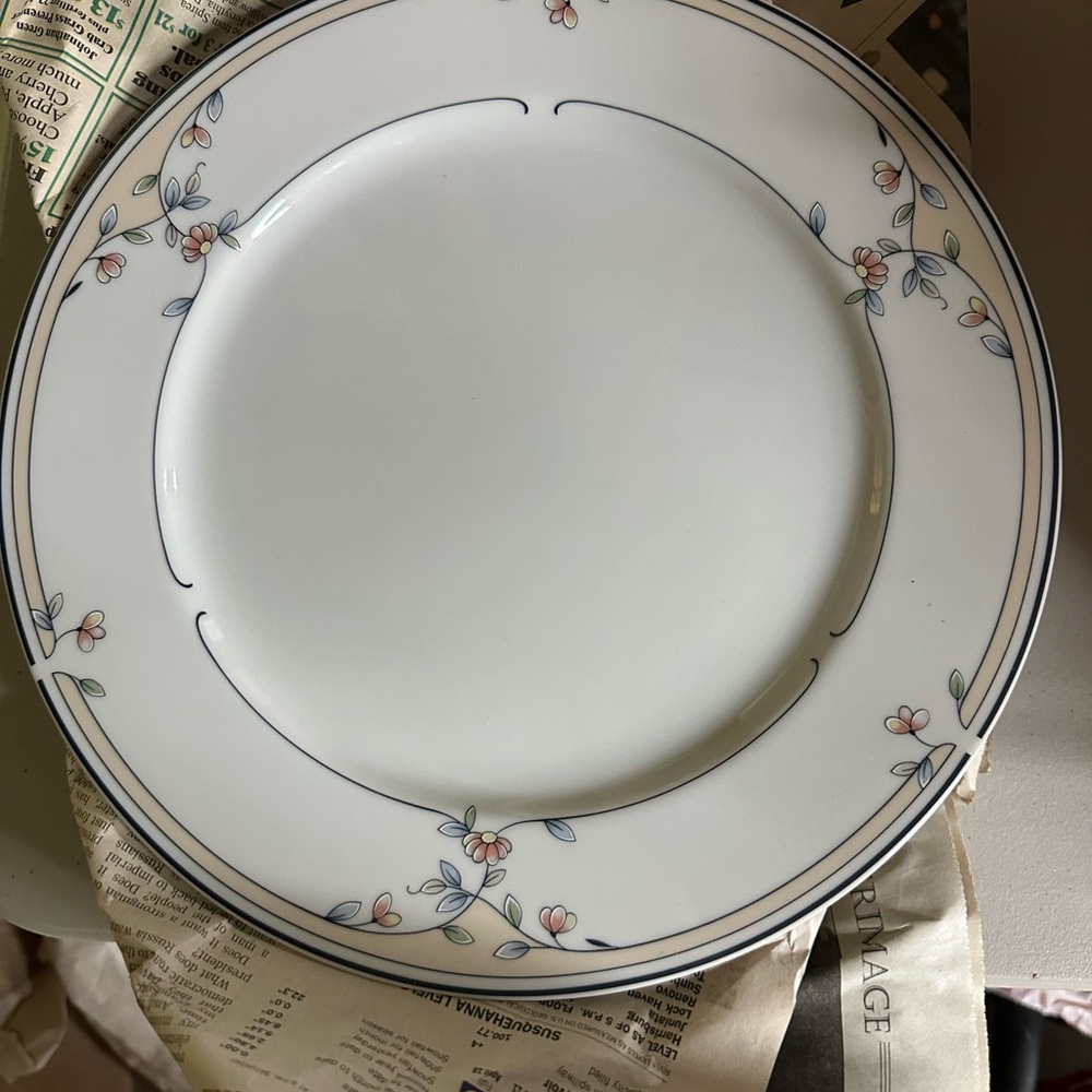 Princess house plates